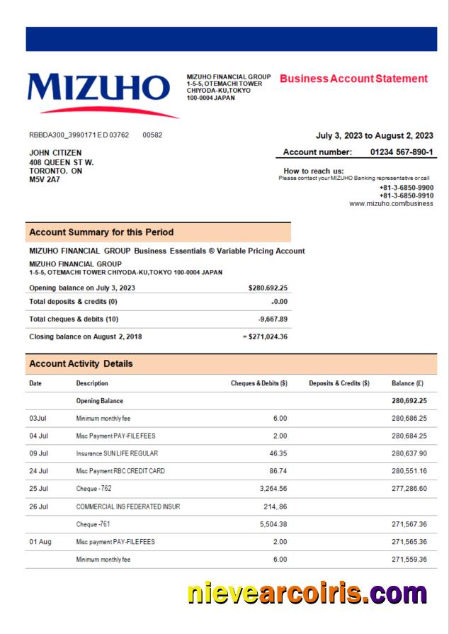 Mizuho  Financial Group bank company account statement